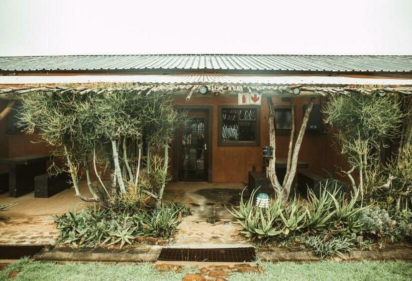 غرفة قياسية رباعية, Amphitheatre Backpackers Lodge