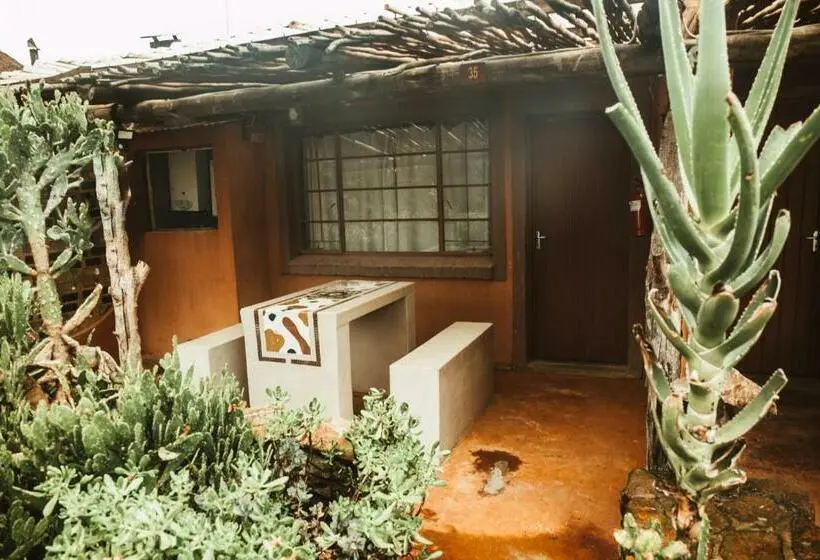 スタンダード４人部屋, Amphitheatre Backpackers Lodge