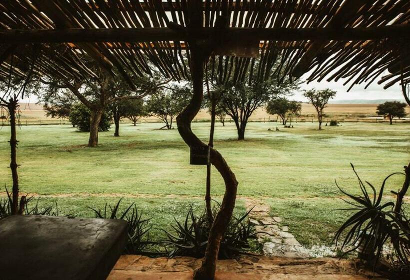 غرفة قياسية رباعية, Amphitheatre Backpackers Lodge