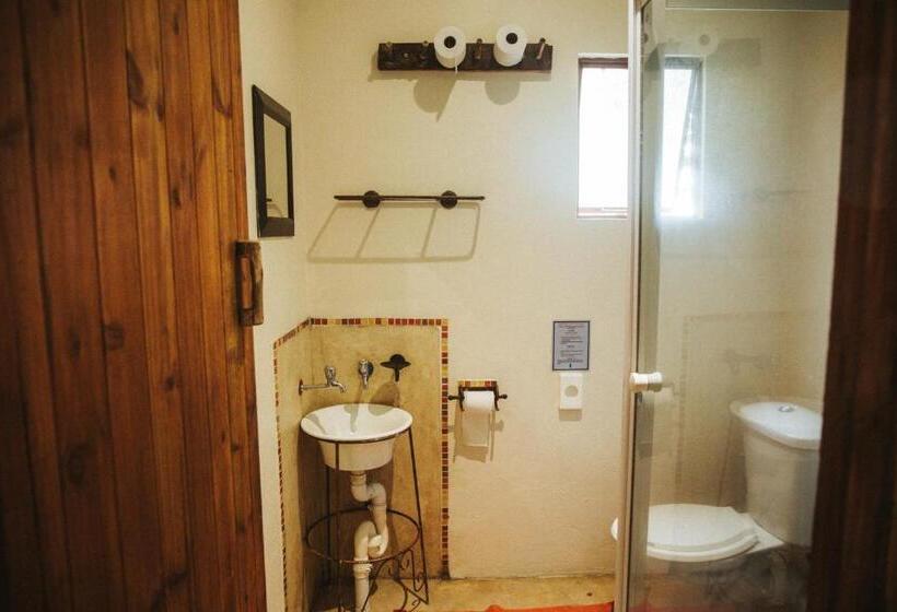 غرفة عائلية, Amphitheatre Backpackers Lodge