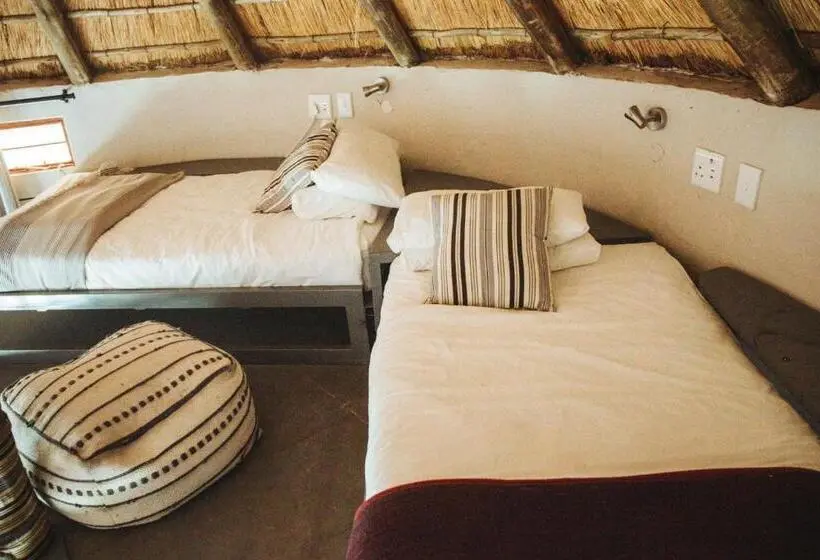 ルームシェアのワンベッド, Amphitheatre Backpackers Lodge