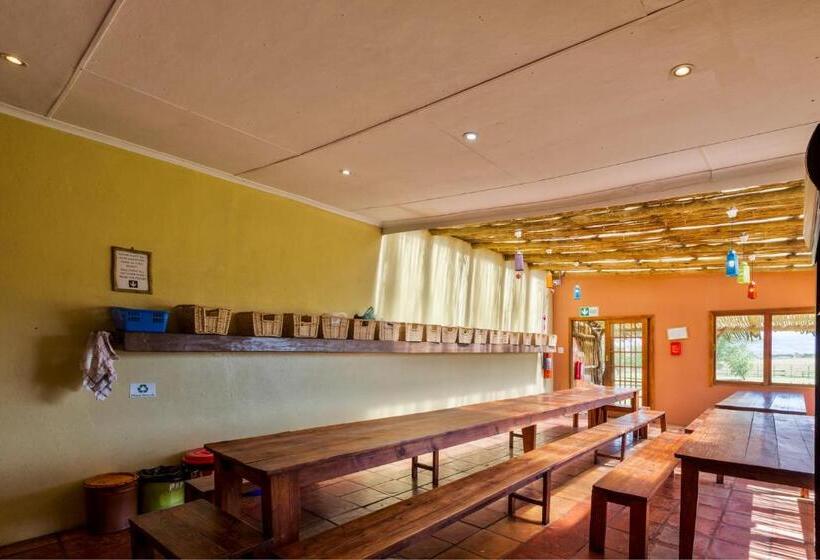 سرير فى غرفة مشتركه, Amphitheatre Backpackers Lodge