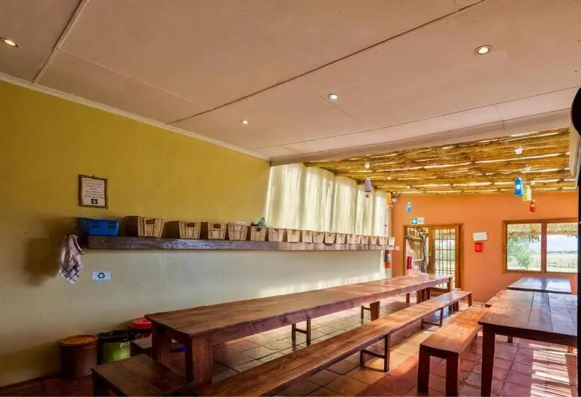 ルームシェアのワンベッド, Amphitheatre Backpackers Lodge