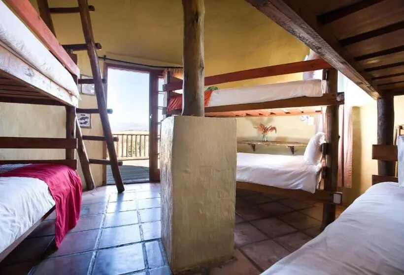 ルームシェアのワンベッド, Amphitheatre Backpackers Lodge