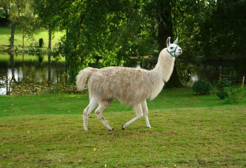 غرفة قياسية مطلّة علي البحيرة, Les Etangs De Pitié