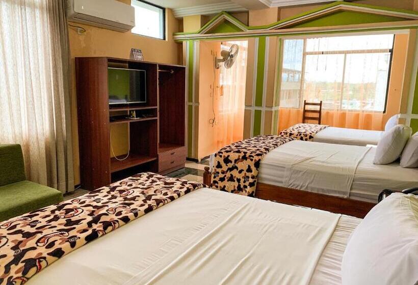 غرفة قياسية ثلاثية, Somagg