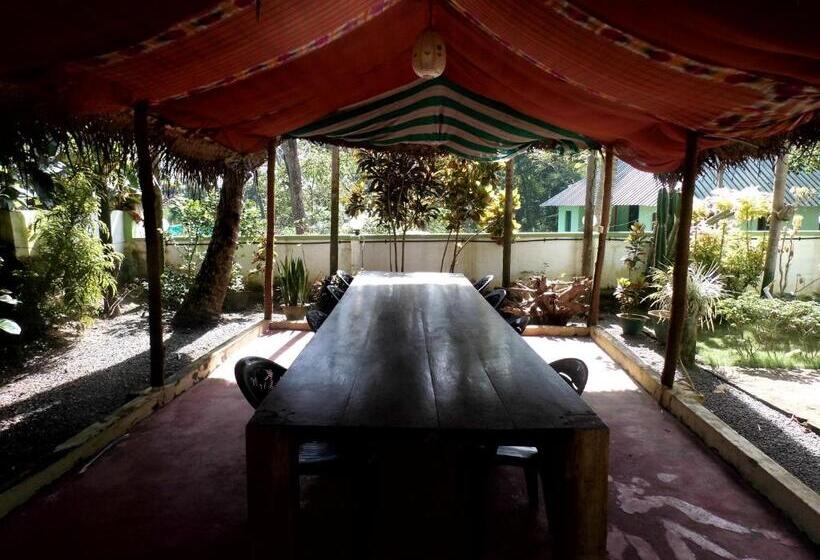اتاق استاندارد, Green Garden Ayurvedic Resort & Green House