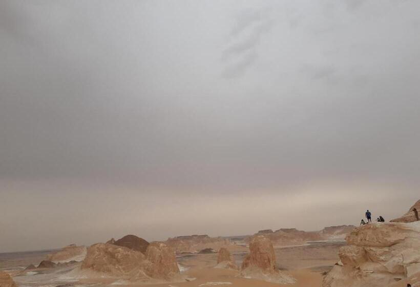 اتاق لوکس, Tut Pyramids View