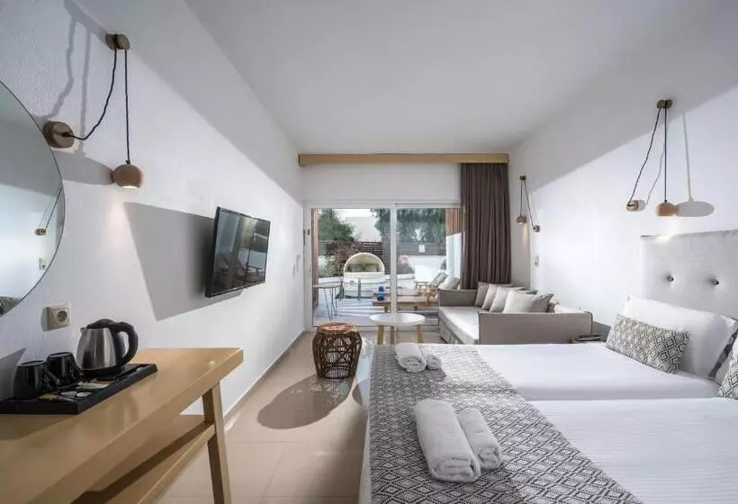 اتاق سوپریور, Aelius Hotel And Spa