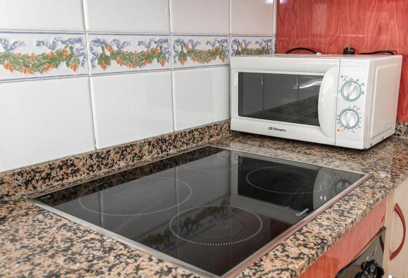 آپارتمان 3 خوابه, Apartamentos Turisticos Fresno