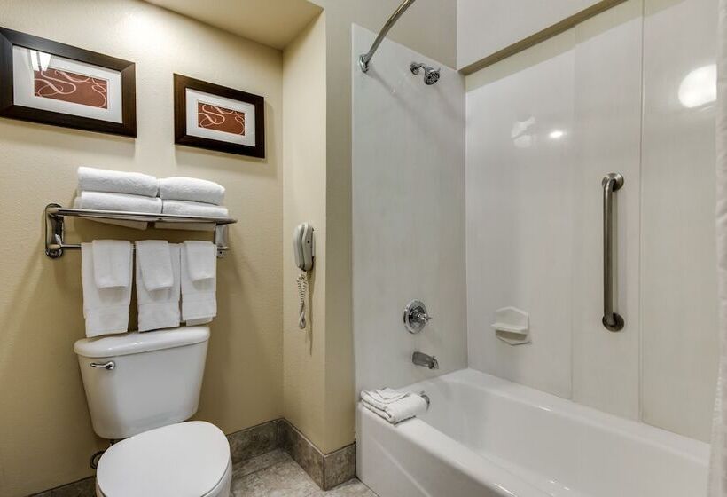 Süit, Comfort Suites Dfw Airport