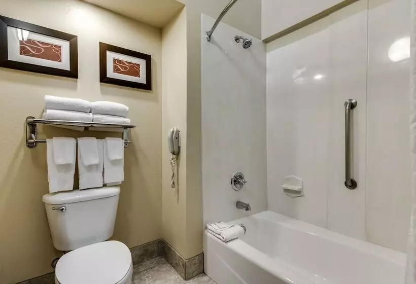 スイート, Comfort Suites Dfw Airport