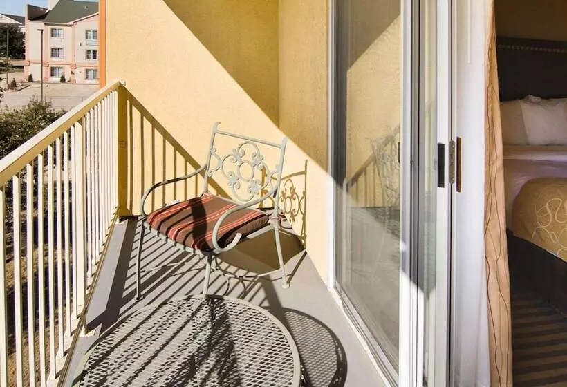スイート, Comfort Suites Dfw Airport