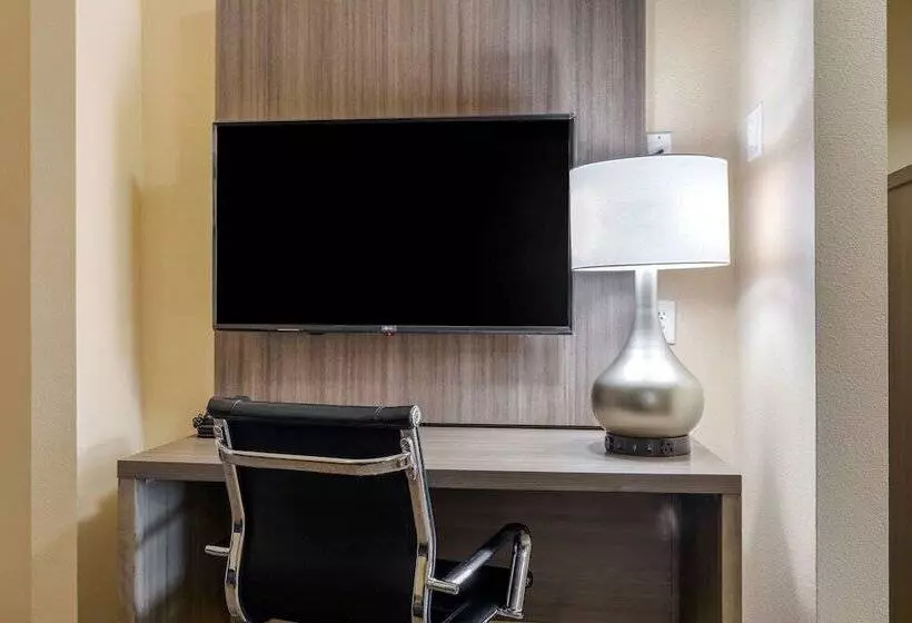 スイート, Comfort Suites Dfw Airport