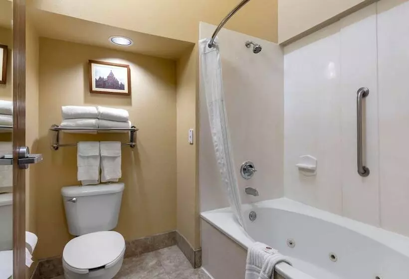 スイート, Comfort Suites Dfw Airport