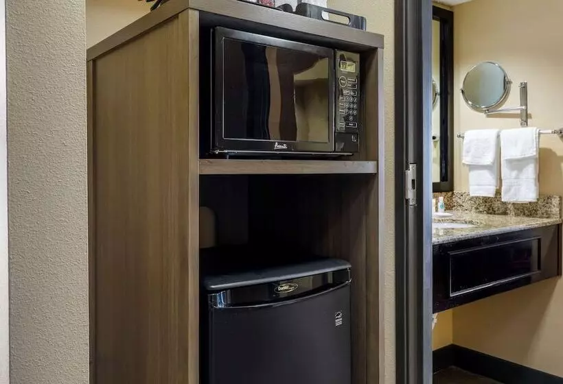 スイート, Comfort Suites Dfw Airport