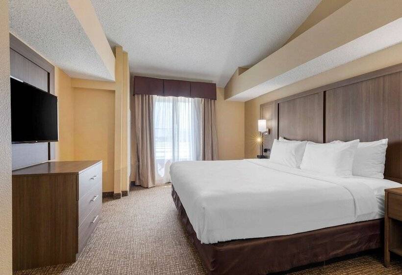 سوییت, Comfort Suites Dfw Airport
