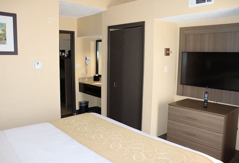 Süit, Comfort Suites Dfw Airport