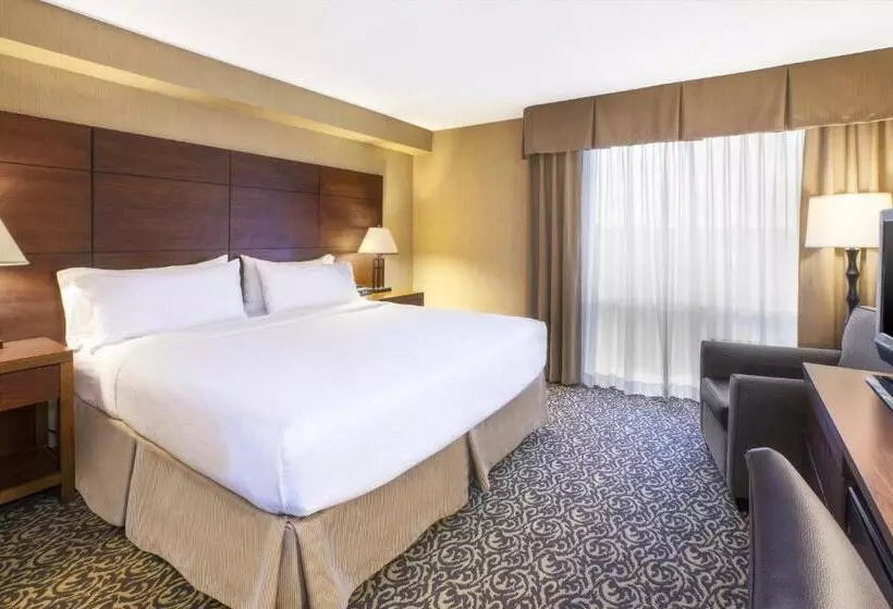 اتاق استاندارد با تخت بزرگ, Holiday Inn National Airport/crystal City, An Ihg