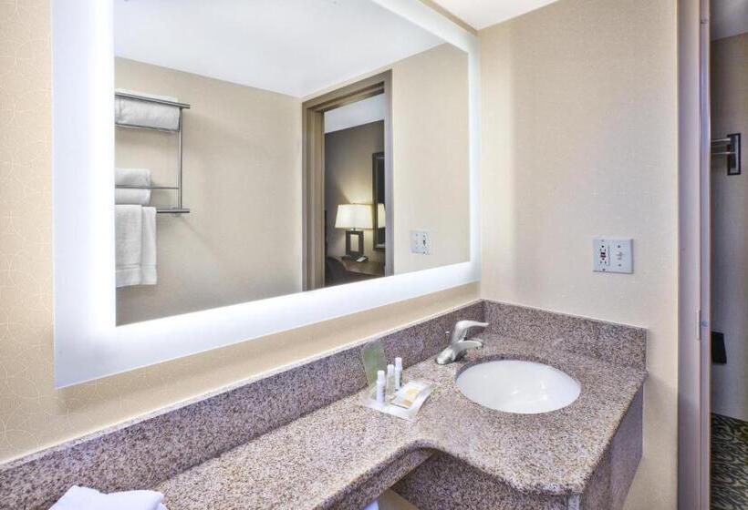 Стандартный Номер Кровать Кинг, Holiday Inn National Airport/crystal City, An Ihg