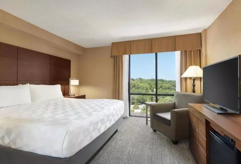 اتاق استاندارد با تخت بزرگ, Holiday Inn National Airport/crystal City, An Ihg