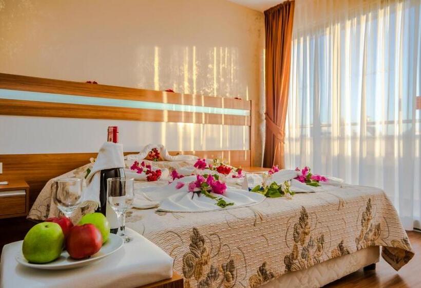 スタンダードルーム, Santa Marina