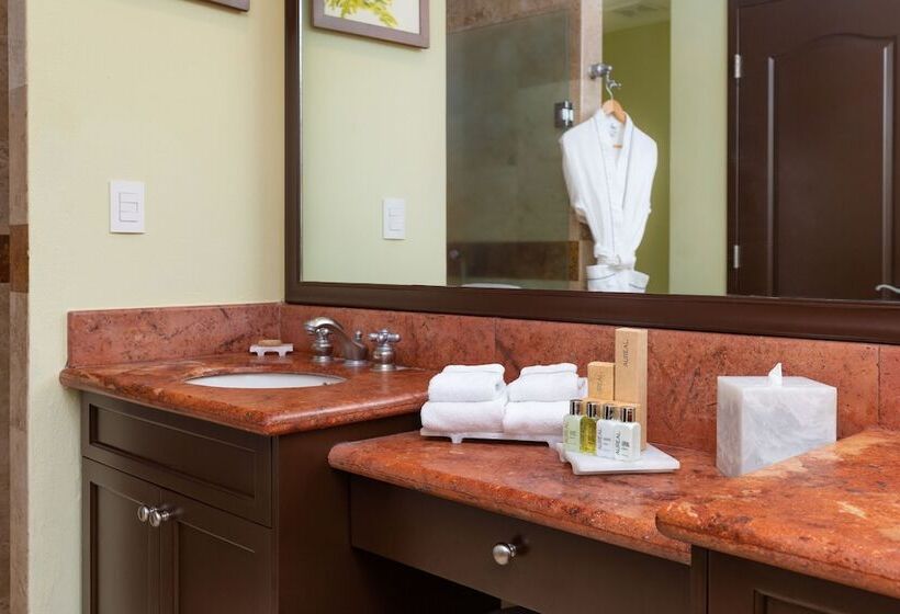 Люкс, Villa Del Palmar Flamingos Beach Resort & Spa