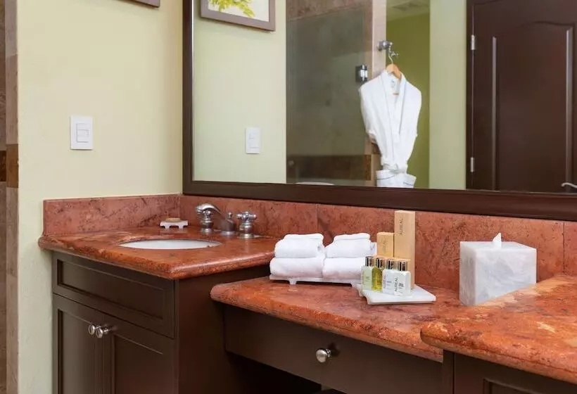 سوییت با چشمانداز دریا, Villa del Palmar Flamingos Beach Resort & Spa
