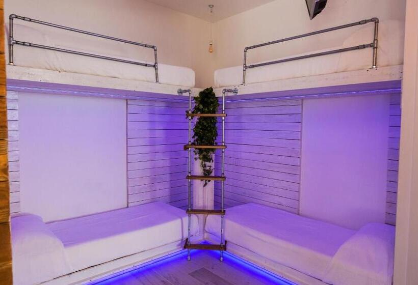 اتاق خانوادگی, My Tiny Home