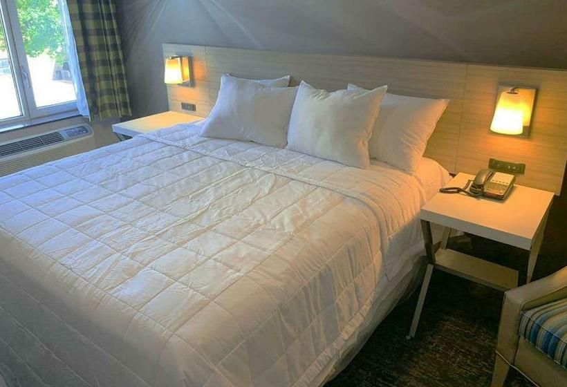 キングサイズベッドのスタンダードルーム, Brooklyn Vybe , Ascend  Collection