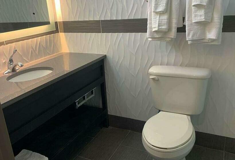 キングサイズベッドのスタンダードルーム, Brooklyn Vybe , Ascend  Collection