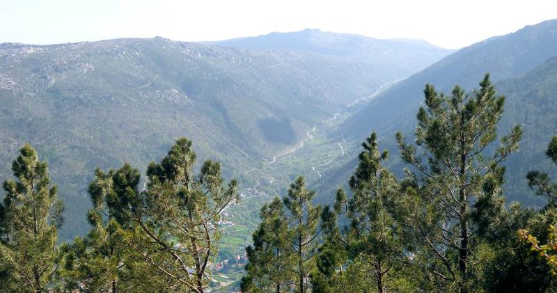 Номер Superior, Casa De São Lourenço   Burel Panorama Hotel   Member Of Design Hotels