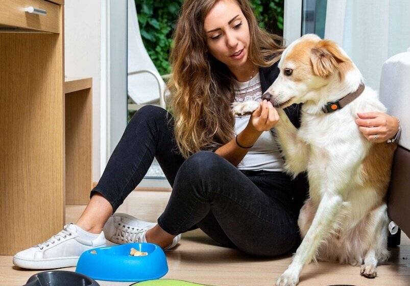 جناح جونيور, Best Western Hotel Adige