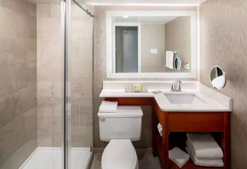 اتاق استاندارد با 2 تخت دوبل, Doubletree By Hilton Ann Arbor North