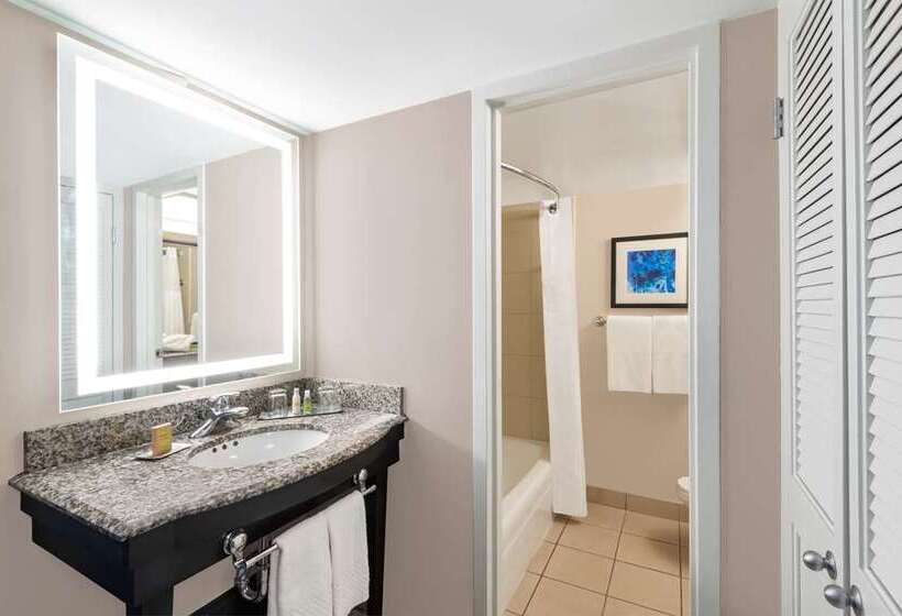 스탠다드 룸 킹사이즈 침대, Doubletree By Hilton Ann Arbor North