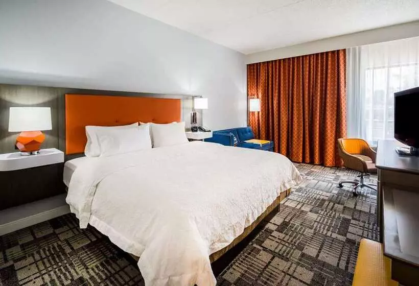 اتاق استاندارد با تخت بزرگ, Doubletree By Hilton Ann Arbor North