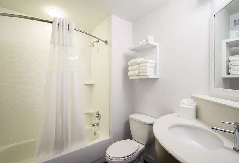 Стандартный Номер Кровать Кинг, Doubletree By Hilton Ann Arbor North