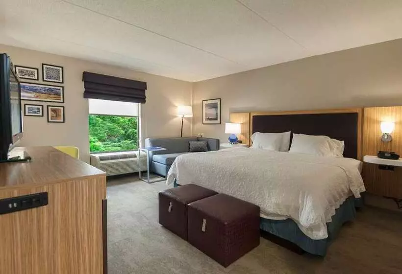 اتاق استاندارد با تخت بزرگ, Doubletree By Hilton Ann Arbor North
