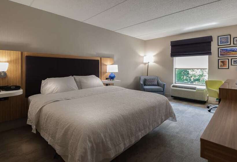 Стандартный Номер Кровать Кинг, Doubletree By Hilton Ann Arbor North