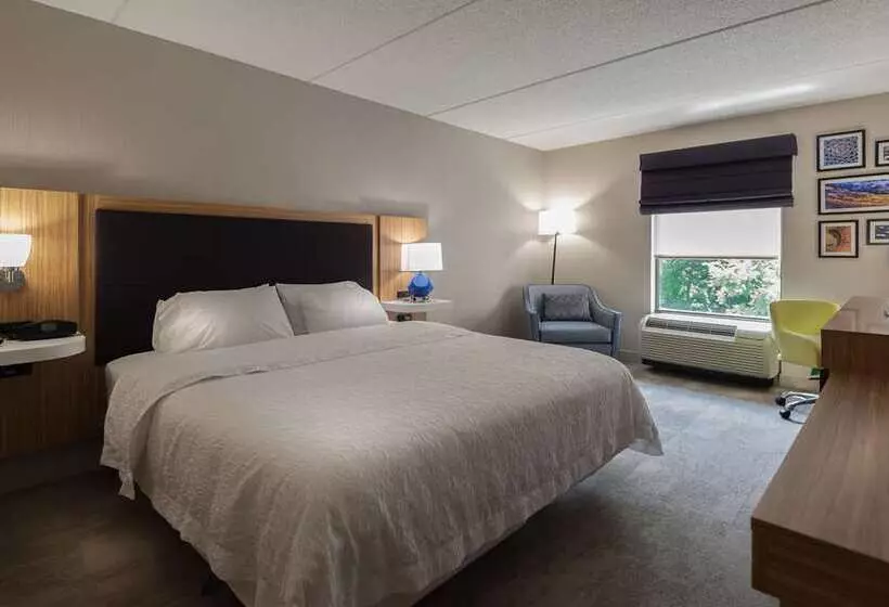 اتاق استاندارد با تخت بزرگ, Doubletree By Hilton Ann Arbor North
