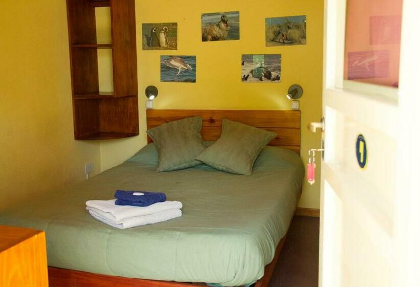 חדר סטנדרט חדר אמבטיה משותף, La Tosca Hostel