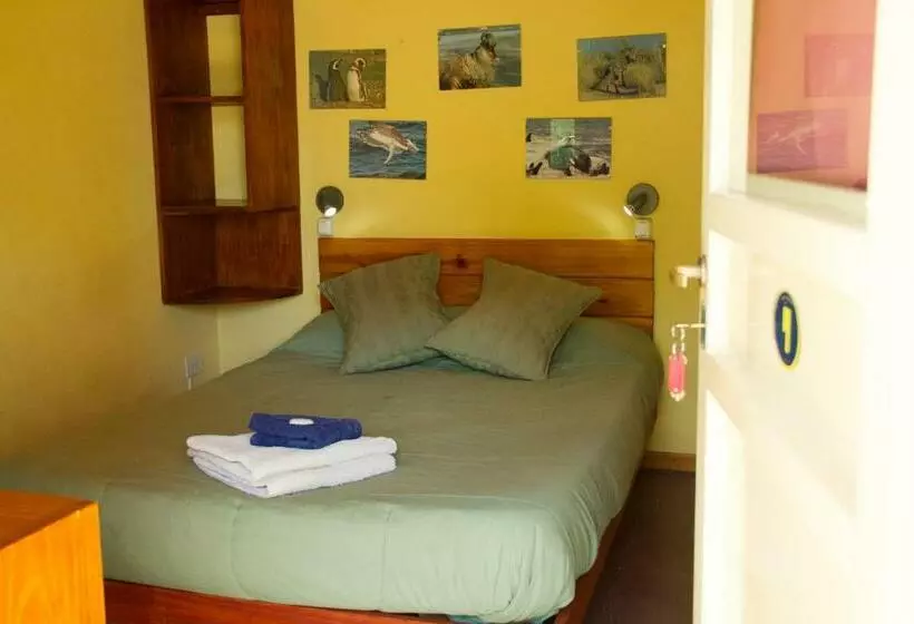 اتاق استاندارد با سرویس بهداشتی مشترک, La Tosca Hostel