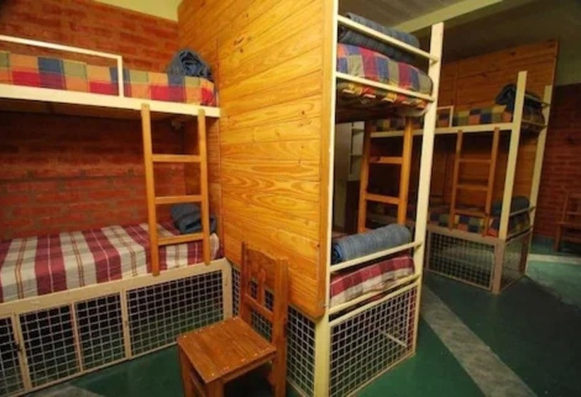 מיטה בחדר משותף, La Tosca Hostel