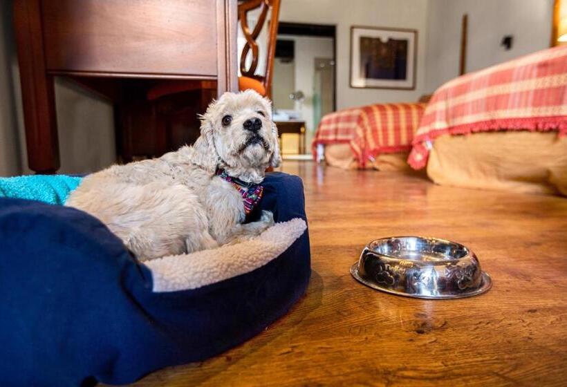 اتاق لوکس, Porta Hotel Antigua