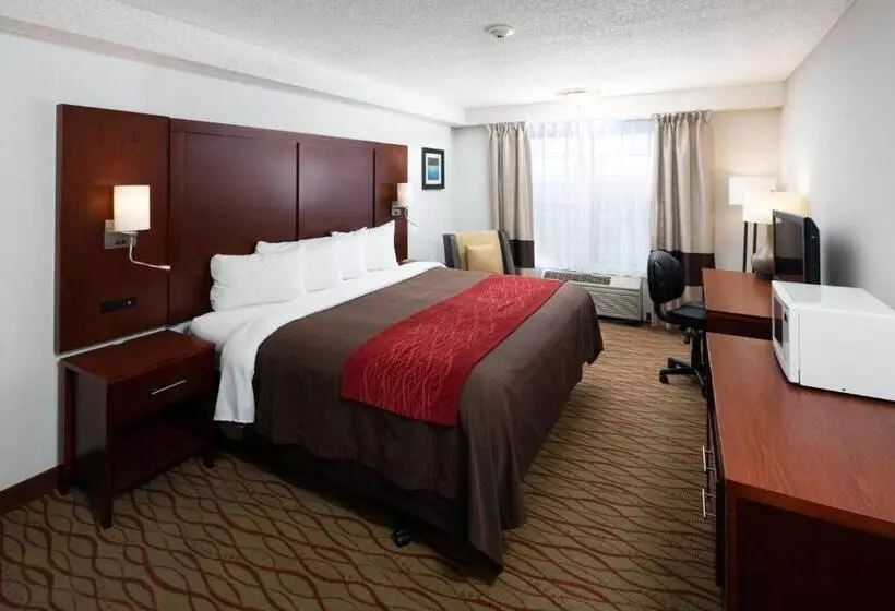 اتاق استاندارد با تخت بزرگ, Red Lion Inn & Suites Auburn