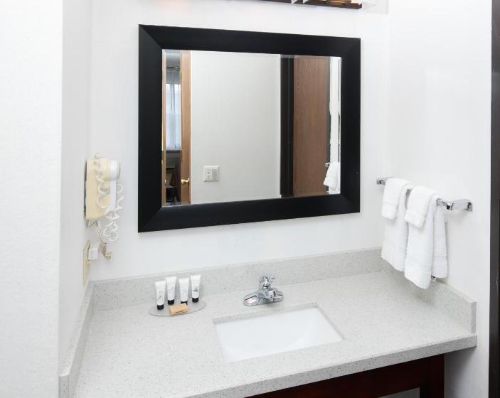 غرفة قياسية لذوى الاحتياجات الخاصة, Red Lion Inn & Suites Auburn