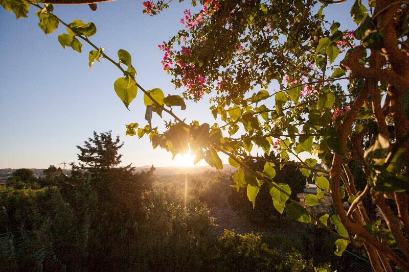 스탠다드 스튜디오, John & Mary S Studios