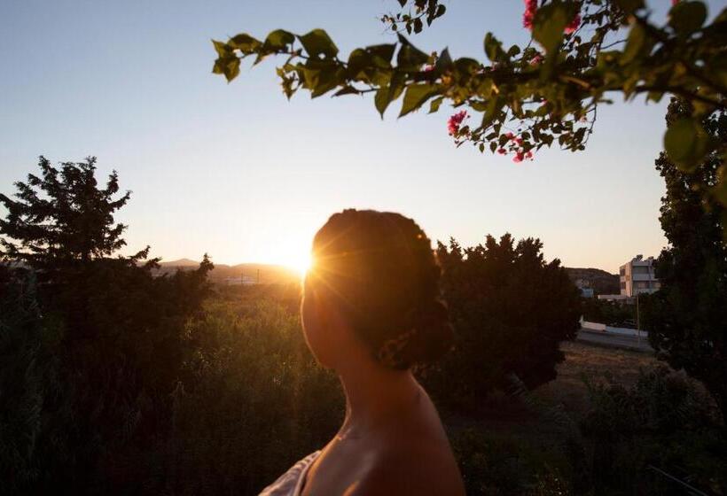 스탠다드 스튜디오, John & Mary S Studios