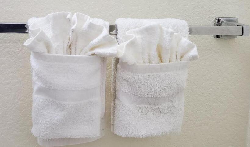 Номер Deluxe, Williamston Inn