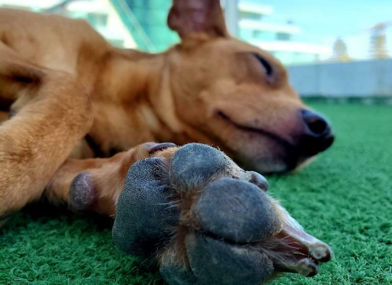 标准间, Cascais Miragem Health & Spa